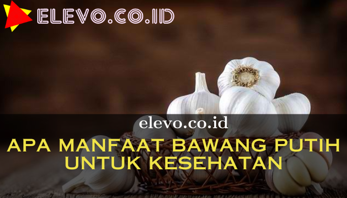 Apa Manfaat Bawang Putih Untuk Kesehatan