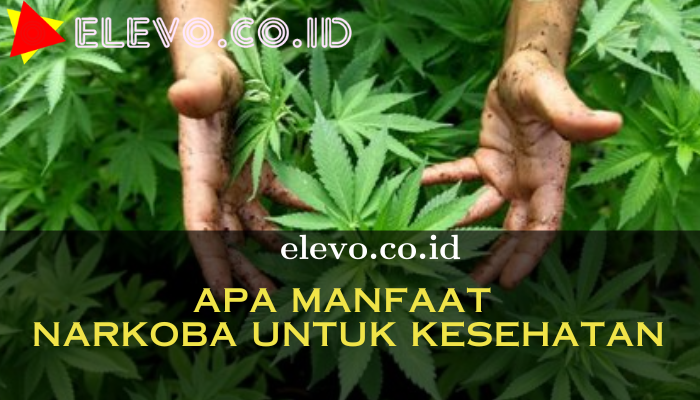 Apa Manfaat Narkoba Untuk Kesehatan