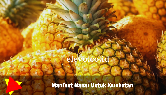 Manfaat Nanas Untuk Kesehatan Tubuh Wajib Kamu Ketahui!