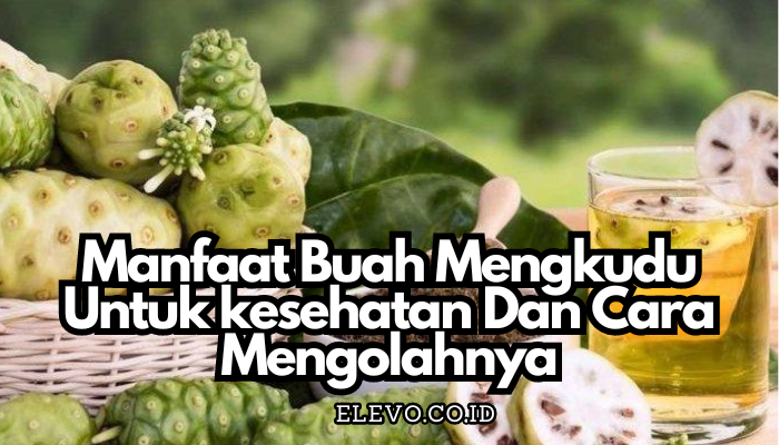 Manfaat Buah Mengkudu Untuk kesehatan Dan Cara Mengolahnya