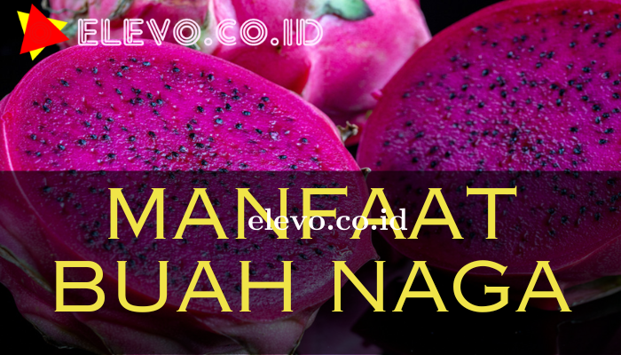 Manfaat Buah Naga Yang Wajib Kamu Ketahui Sekarang