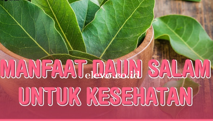 Khasiat Dan Manfaat Konsumsi Daun Salam