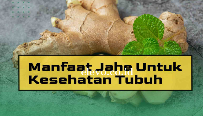 Manfaat Jahe Untuk Kesehatan Tubuh