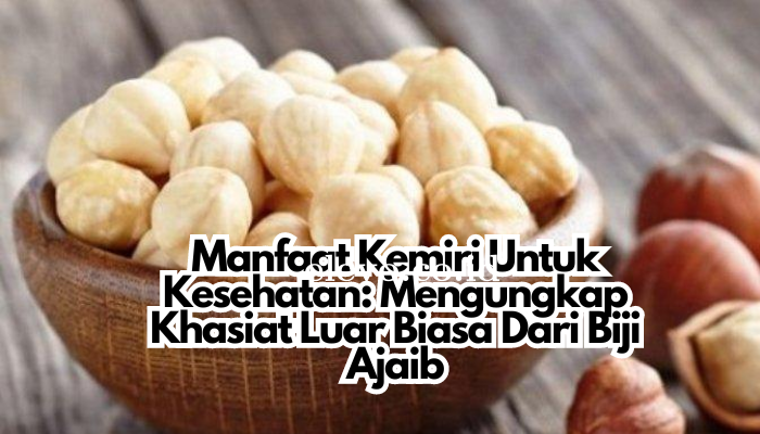 Manfaat Kemiri Untuk Kesehatan: Mengungkap Khasiat Luar Biasa Dari Biji Ajaib