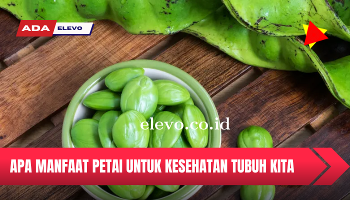 Mari Mengenal Apa Saja Manfaat Petai Bagi Kesehatan