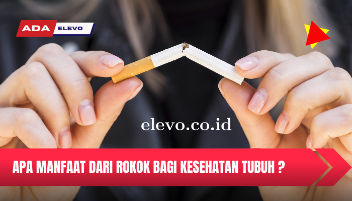 Mengenal Apa Manfaat Rokok Bagi Kesehatan Kita