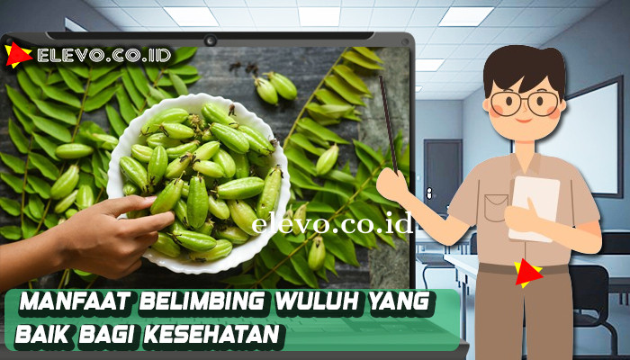 manfaat-belimbing-wuluh-bagi-kesehatan.jpg