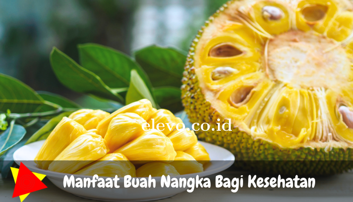 Inilah Manfaat Buah Nangka Untuk Kesehatan yang Harus Anda Ketahui!