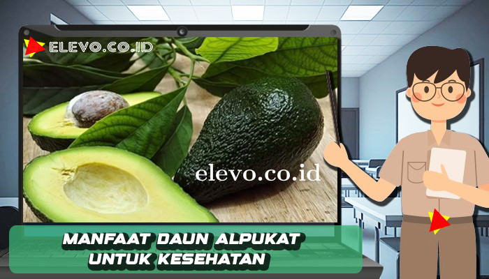 Manfaat Daun Alpukat Untuk Kesehatan