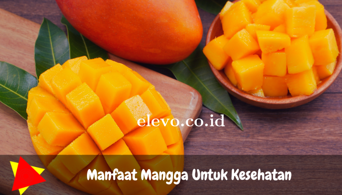 Manfaat Mangga Untuk Kesehatan Tubuh Wajib Diketahui!