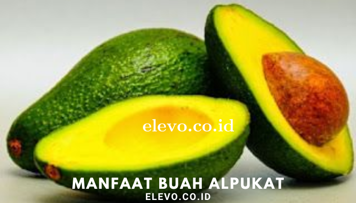 Manfaat Buah Alpukat Bagi Kesehatan Kita