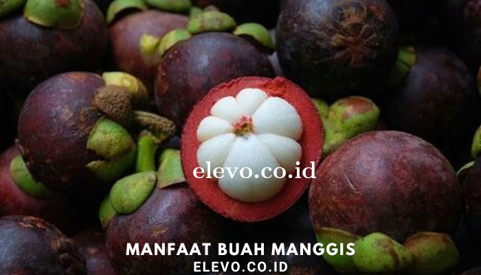 Manfaat Buah Manggis Bagi Kesehatan Kita