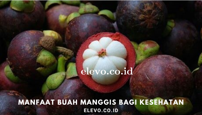 Manfaat Buah Manggis Buat Kesehatan Kita