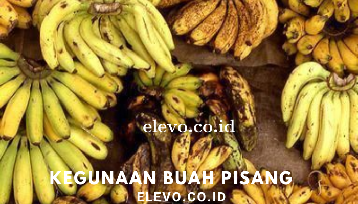 Manfaat Buah Pisang Bagi Kesehatan