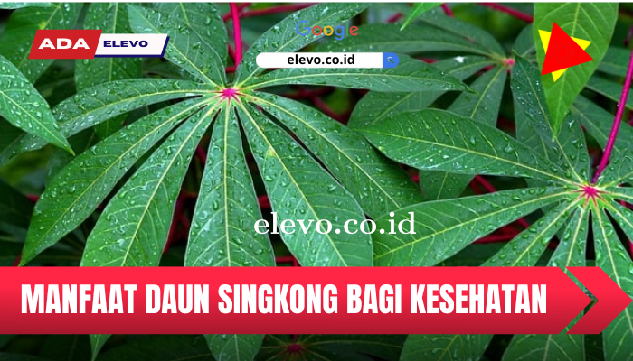 Inilah Manfaat dari Daun Singkong yang Wajib Kamu Ketahui