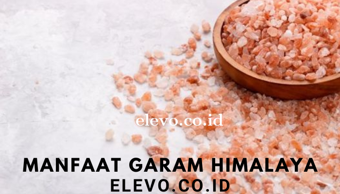 Manfaat Garam Himalaya Bagi Kesehatan